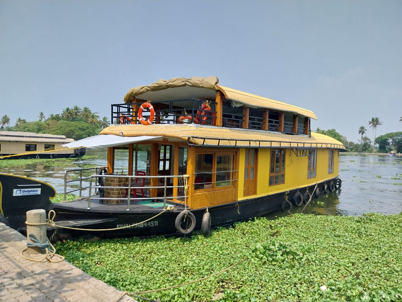 Dolphins Backwater Cruise